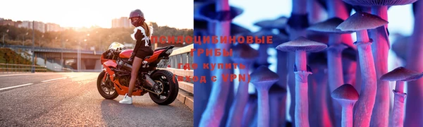 метадон Козловка
